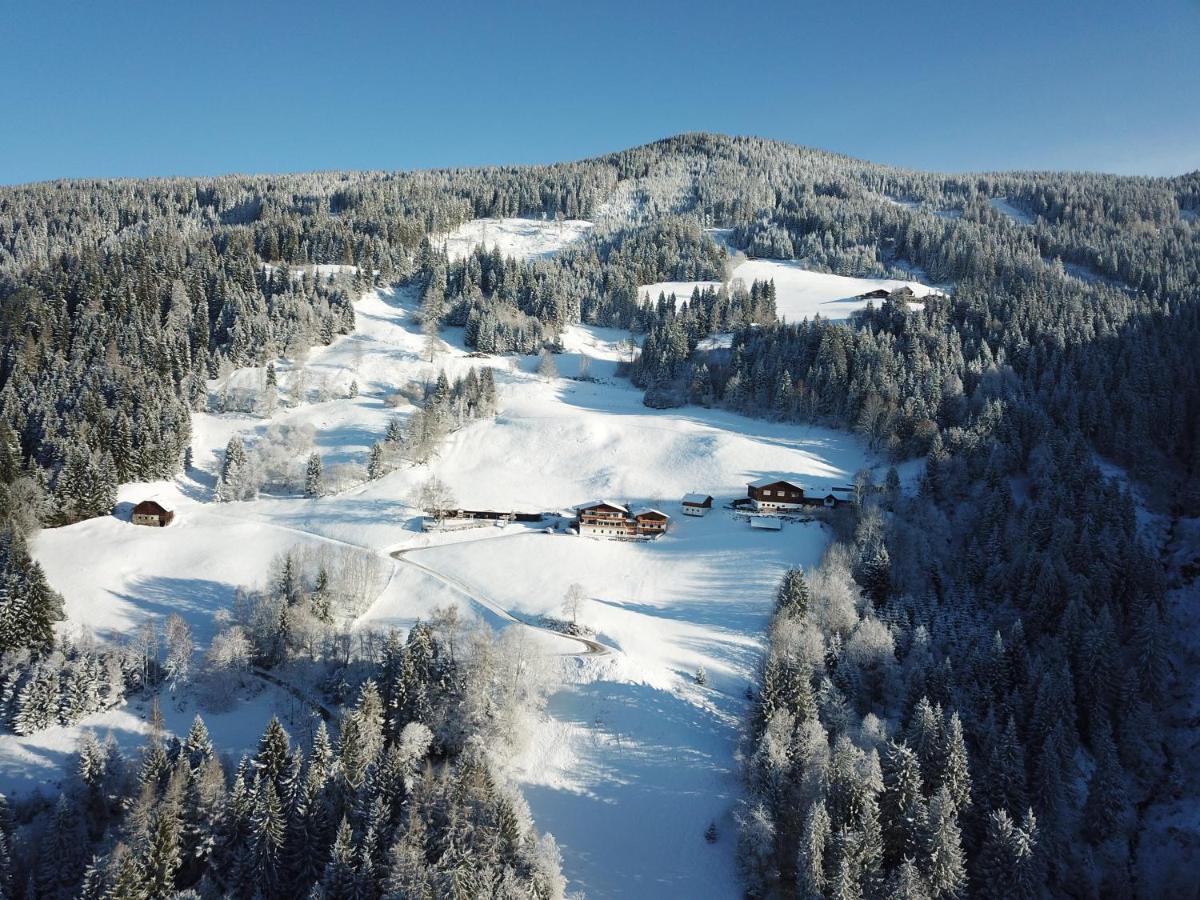 Pension Bergbauernhof Irxner Pichl-Preunegg Zewnętrze zdjęcie